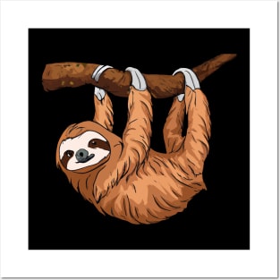 Lazy Sloth Posters and Art